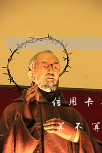 信用卡逾期分期手續(xù)費(fèi)算不算本金（信用卡逾期分期手續(xù)費(fèi)）