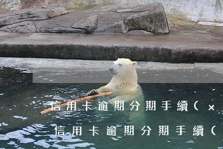 信用卡逾期分期手續(xù)費一次性還-信用卡逾期分期手續(xù)費一次性還嗎