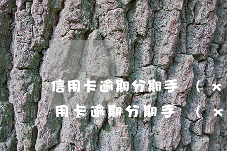 信用卡逾期分期手續(xù)費怎么算-信用卡逾期分期手續(xù)費怎么算的