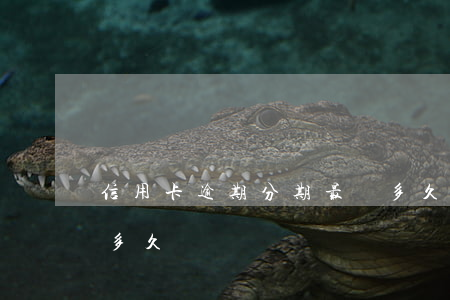 信用卡逾期分期最長多久(分期最多可以逾期多久)