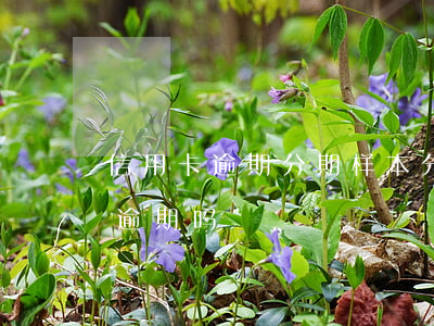 信用卡逾期分期样本(分期卡逾期属于信用卡逾期吗)