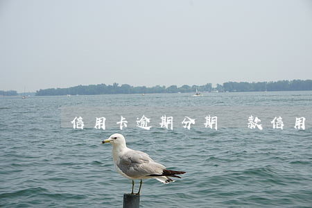 信用卡逾期分期條款(信用卡 逾期 分期)
