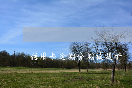 信用卡逾期分期被提前終止(逾期被取消分期)