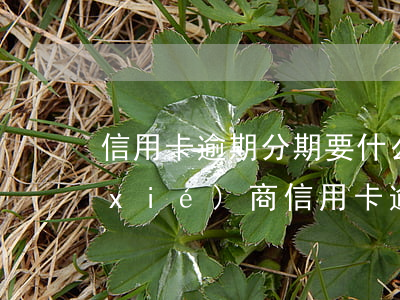 信用卡逾期分期要什么材料(怎么去銀行協(xié)商信用卡逾期分期)