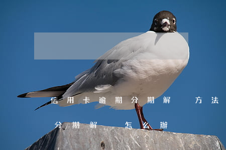 信用卡逾期分期解決方法 逾期后銀行不同意分期解決怎么辦