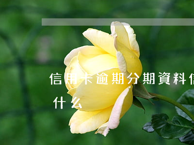 信用卡逾期分期資料(信用卡逾期分期資料是什么)