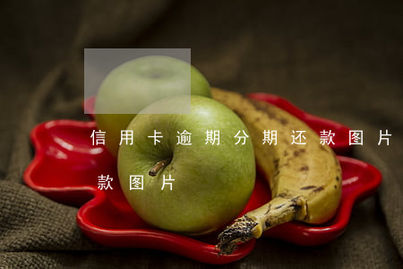 信用卡逾期分期还款图片(信用卡逾期分期还款图片)