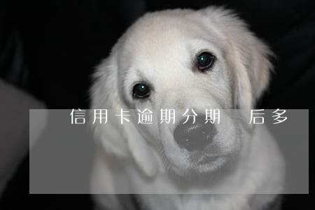 信用卡逾期分期過后多還了一期