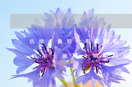 信用卡逾期分期還款協(xié)議-百度(信用卡逾期分期還款協(xié)議-百度)