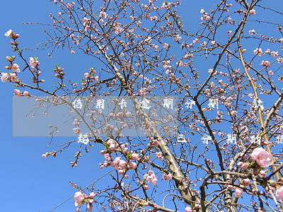信用卡逾期分期還款協(xié)議還能被起訴嗎-已分期的信用卡,逾期了,可以協(xié)商嗎