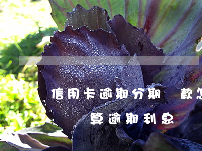 信用卡逾期分期還款怎么計算器 分期還款怎樣計算逾期利息