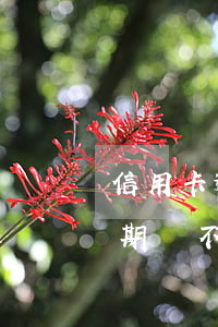 信用卡逾期分期還款有利息嗎-欠信用卡分期還不上可以協(xié)商解決嗎