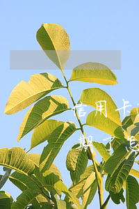 信用卡逾期分期還款首付(信用卡分期付款逾期了怎么辦)