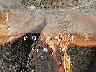 信用卡逾期分期還能貸款嗎(信用卡逾期能申請分期付款嗎)