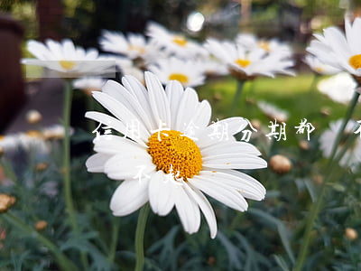 信用卡逾期分期都還不起(信用卡逾期分期都還不起)