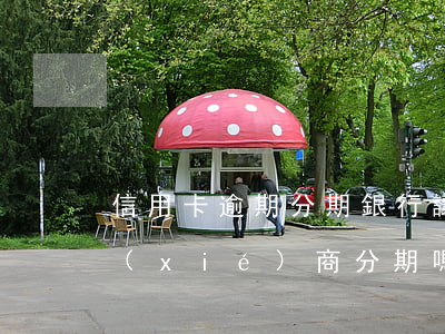 信用卡逾期分期銀行讓簽(銀行貸款逾期能協(xié)商分期嗎)
