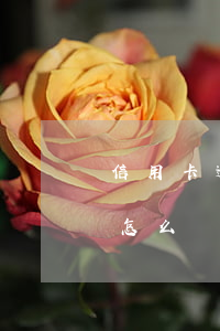 信用卡逾期分期靠譜嗎(分期的信用卡逾期了怎么辦)