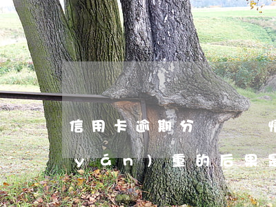 信用卡逾期分為幾種情況(信用卡逾期最嚴(yán)重的后果是什么)