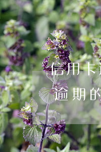 信用卡逾期分等級(jí)嗎(有多少信用卡逾期的)