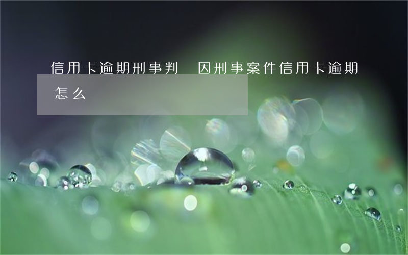 信用卡逾期刑事判決(因刑事案件信用卡逾期怎么辦)