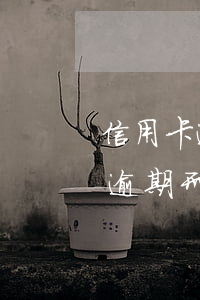 信用卡逾期刑事案件拘留多久兩萬-信用卡逾期刑事案件拘留多久兩萬元