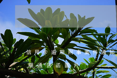 信用卡逾期刑事案件通知函(真正的信用卡逾期通告函圖片)