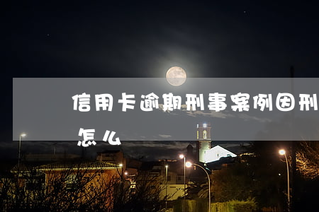 信用卡逾期刑事案例(因刑事案件信用卡逾期怎么辦)