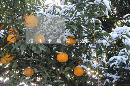 信用卡逾期 刑事立案(信用卡逾期刑事立案會(huì)拘留嗎)