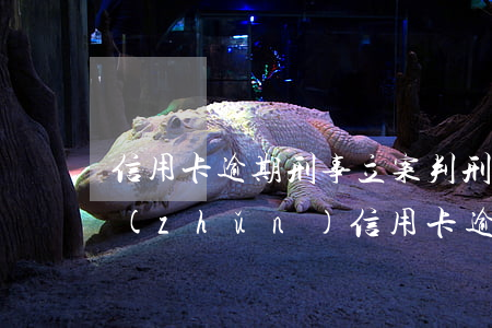 信用卡逾期刑事立案判刑標(biāo)準(zhǔn)(信用卡逾期刑事立案判刑標(biāo)準(zhǔn)最新)