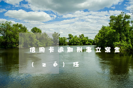 信用卡逾期刑事立案金額(信用卡逾期刑事責(zé)任)