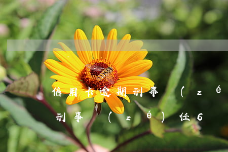 信用卡逾期刑事責(zé)任6 信用卡逾期刑事責(zé)任6
