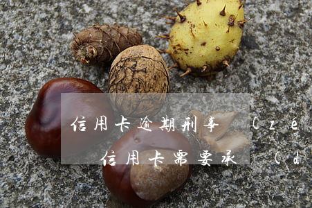信用卡逾期刑事責(zé)任最新解釋(逾期還信用卡需要承擔(dān)什么法律責(zé)任)
