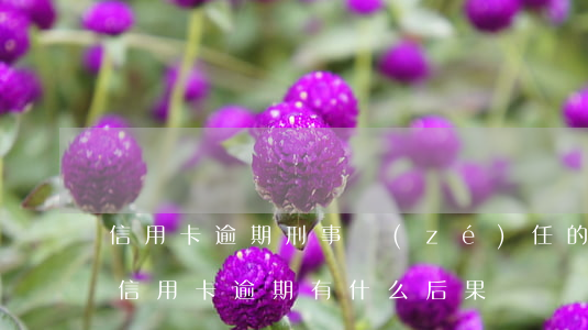 信用卡逾期刑事責(zé)任的多嗎(銀行卡信用卡逾期有什么后果)