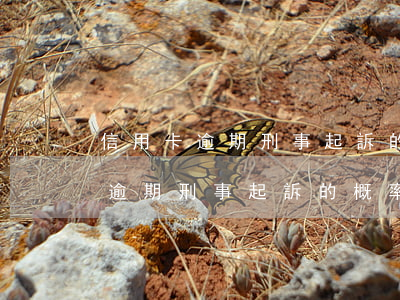 信用卡逾期刑事起訴的概率大不大-信用卡逾期刑事起訴的概率大不大呀