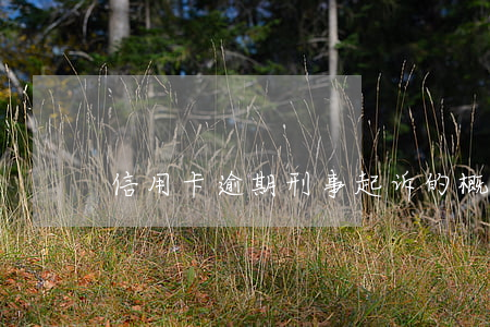 信用卡逾期刑事起诉的概率