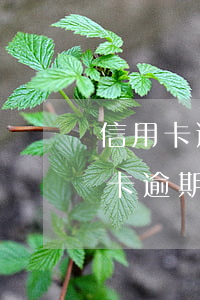 信用卡逾期刑侦扣留-因刑事拘留导致信用卡逾期是否构成违约