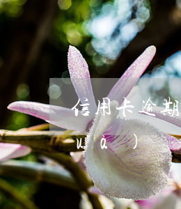 信用卡逾期刑偵大隊(duì)打電話(huà)說(shuō)拘留-信用卡逾期刑偵大隊(duì)打電話(huà)說(shuō)拘留是真的嗎