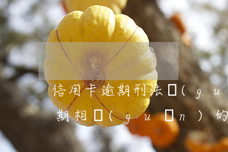 信用卡逾期刑法規(guī)定(與信用卡逾期相關(guān)的法律法規(guī))