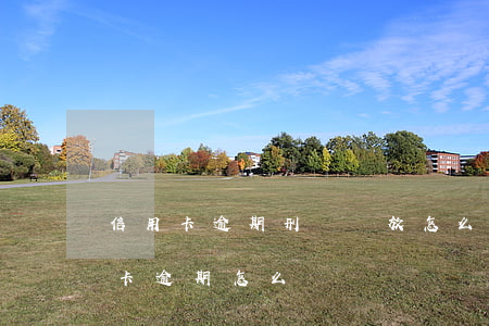 信用卡逾期刑滿釋放怎么辦(刑滿釋放后信用卡逾期怎么辦)
