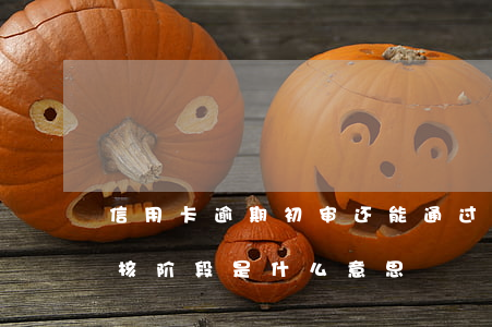 信用卡逾期初审还能通过(信用卡逾期进入审核阶段是什么意思)