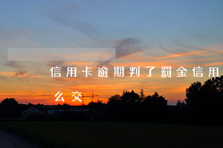 信用卡逾期判了罰金 信用卡逾期判了罰金怎么交