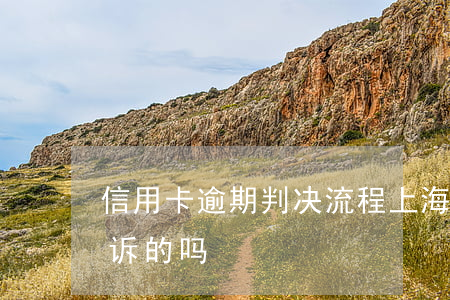 信用卡逾期判决流程上海 有信用卡逾期被起诉的吗