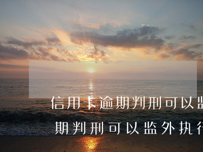信用卡逾期判刑可以监外执行吗-信用卡逾期判刑可以监外执行吗知乎