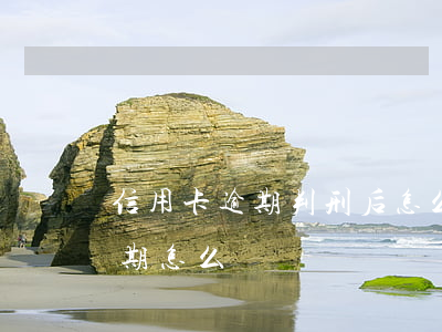 信用卡逾期判刑后怎么還(被判刑后信用卡逾期怎么辦)