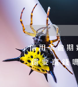 信用卡逾期判刑后還要還么(欠信用卡判刑了還要還錢嗎)