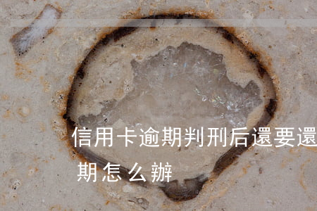 信用卡逾期判刑后還要還嗎(被判刑信用卡逾期怎么辦)