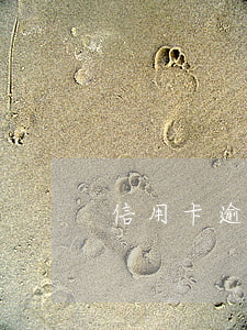 信用卡逾期判刑程序(被刑拘导致信用卡逾期)
