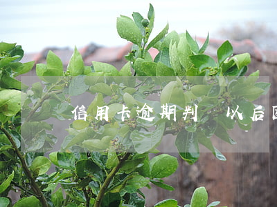 信用卡逾期判決以后(因服刑信用卡逾期被起訴)
