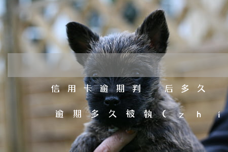 信用卡逾期判決后多久強制執(zhí)行(逾期多久被執(zhí)行)