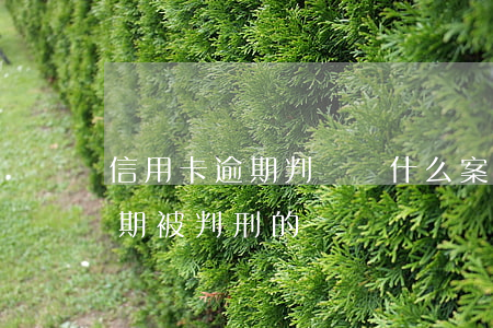 信用卡逾期判決屬什么案件(有沒有信用卡逾期被判刑的)